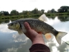 Rybolov na Malom Dunaji
